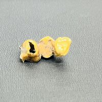 画像4142：グッチバンブーバッグ